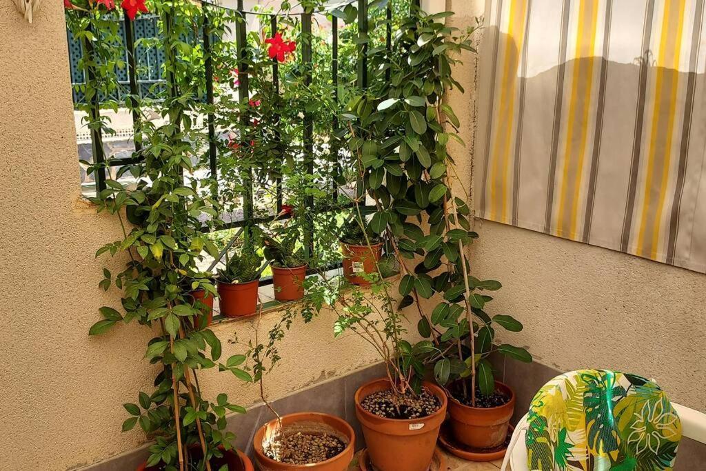 Bungalow Manuela En Санта Пола Екстериор снимка